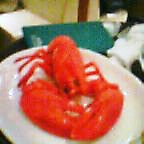 20060218_2104_000.jpg