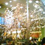 20060312_1621_000.jpg