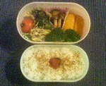 20061225230309.jpg