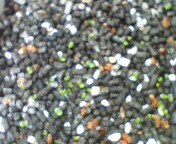 20080517122938.jpg